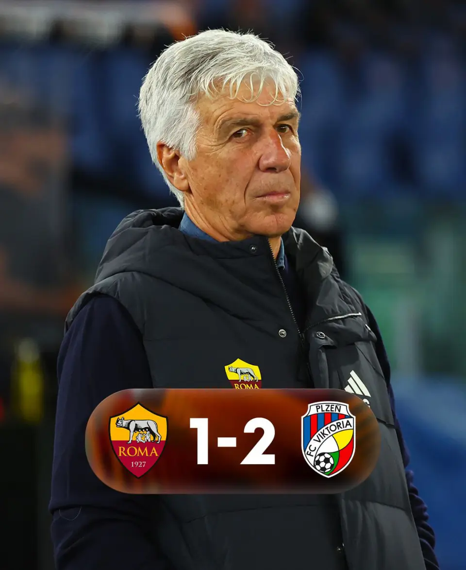 img, entit, entit img, entit, entit